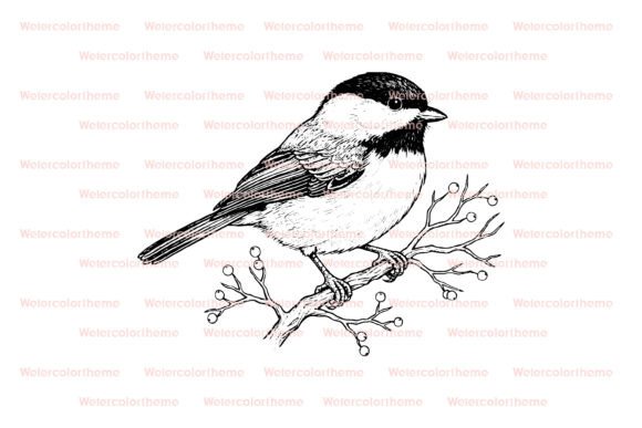 Download Chickadee Bird SVG - Svg Collection