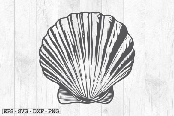 Download Sea Shell Illustration , Shell Svg - Svg Collection