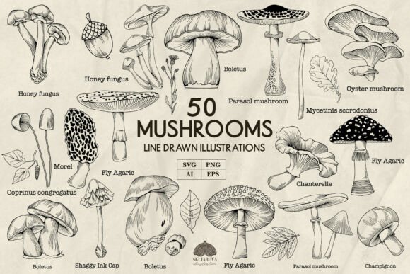 Download Mushrooms Line Art Svg Png Eps - Svg Collection