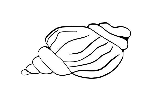 Download Sea Shell Line Art - Premium Resources