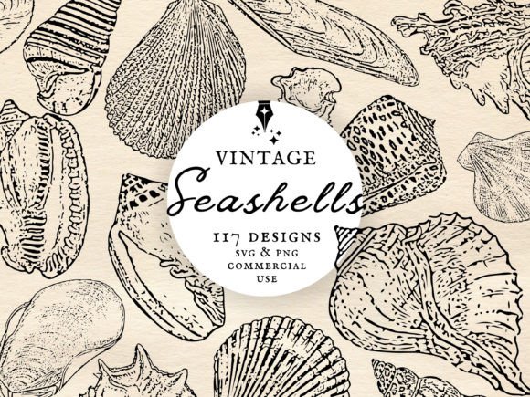 Download Vintage Seashell Clipart Set PNG &amp; SVG - Svg Collection