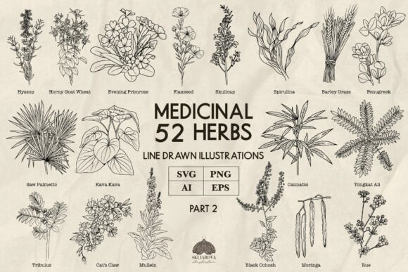 Download Medicinal Herbs Part 2 Line Art Svg Png - Svg Collection