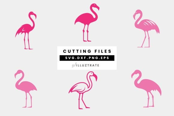 Download Flamingo SVG Cut File | Pink Cutting Fil - Svg Collection