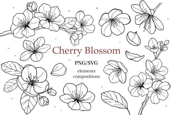 Download Cherry Blossom Clipart SVG PNG - Svg Collection
