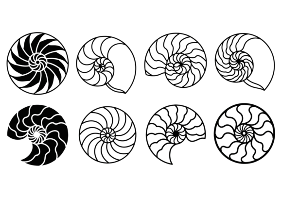 Download Nautilus Shell SVG Clipart Bundle - Svg Collection
