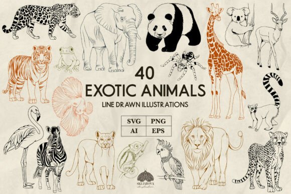 Download Exotic Animals Line Art Svg Png - Svg Collection