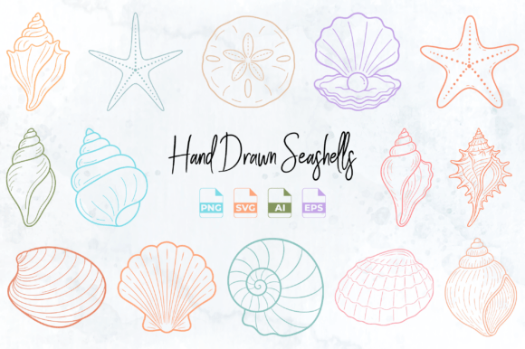 Download Hand Drawn Seashell Clipart PNG SVG - Svg Collection