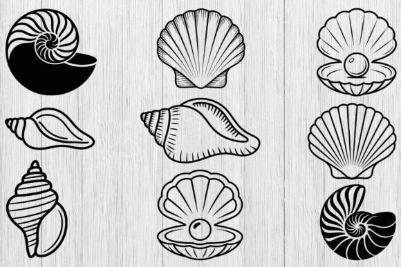 Download Seashell Svg Bundle, Shell Clipart Svg - Svg Collection