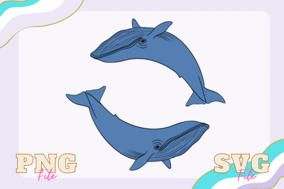 Download Blue Whale Svg - Svg Collection