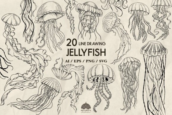 Download Jellyfish Line Drawing Svg - Svg Collection