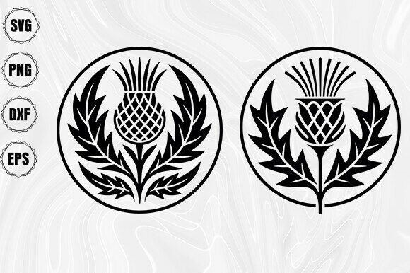 Download Thistle Symbol Svg - Svg Collection